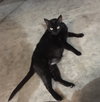 Cora - Photo 6