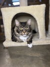 Bella - Photo 2