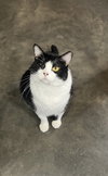 Tex - Photo 1