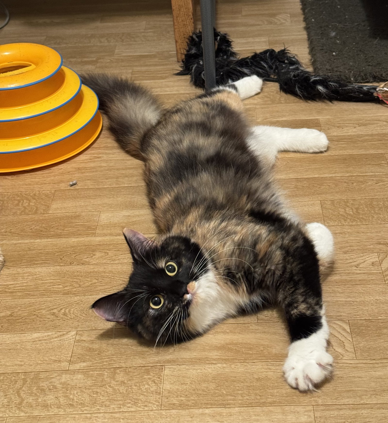 Sundae