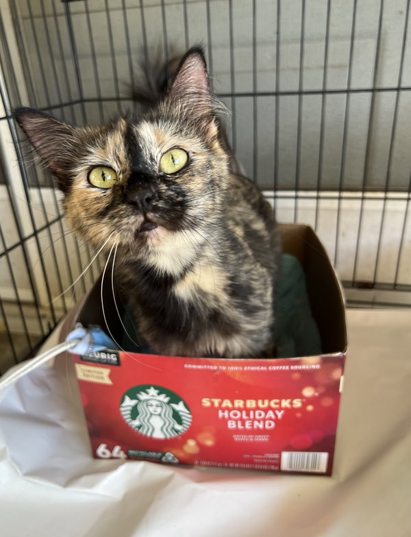 Delilah