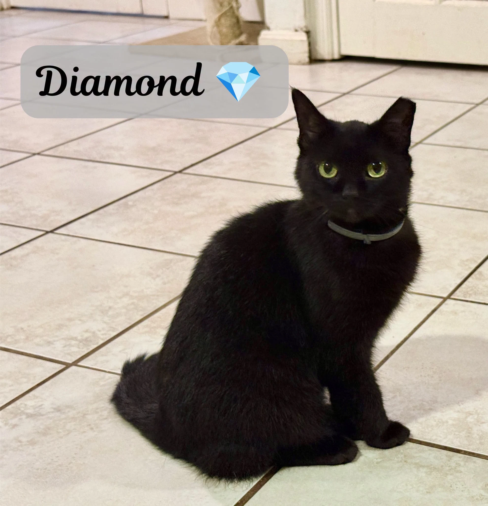 Diamond