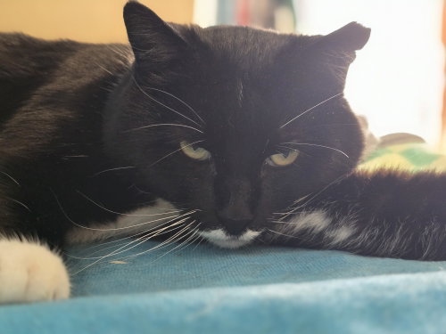 Photo 2 of Jeeves