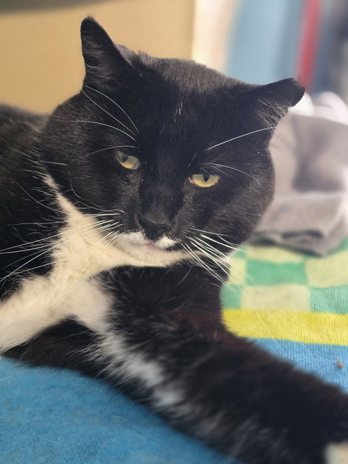 Photo 3 of Jeeves