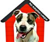 adoptable Dog in emmett, ID named Izzy - (Adoption Sponsored)