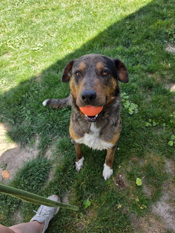 Franklin