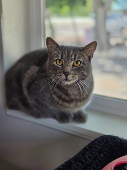 Mia