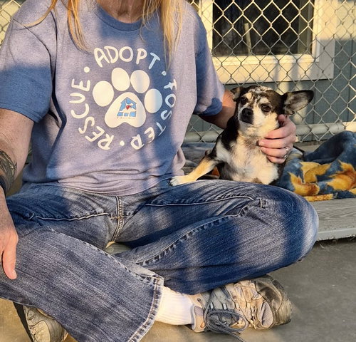 Photo 4 of Adoption Pending - Rueben