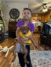 adoptable Dog in , IA named Chappo