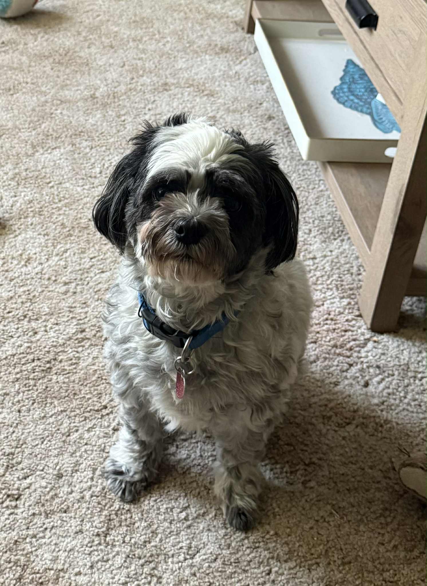 Baxter Image