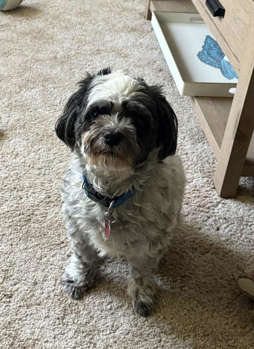 Baxter