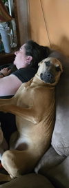 Maximus - Photo 1
