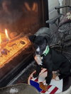 Scout