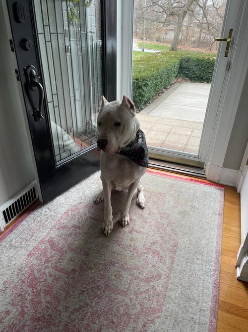 Max