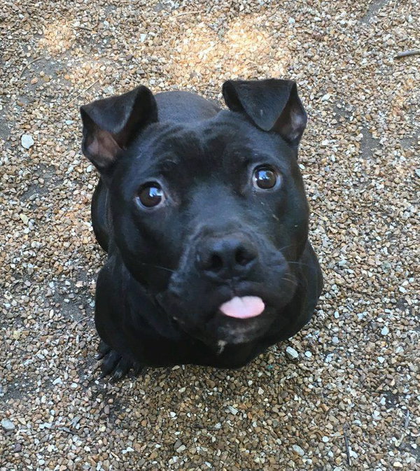 Jax