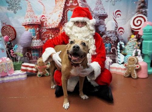 Golda, photo 5