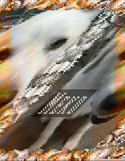 Meko