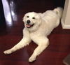 Wilbur