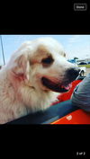 Charlie