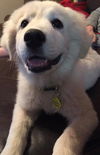 Kaia