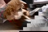 Arlo