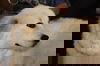 Winkin'