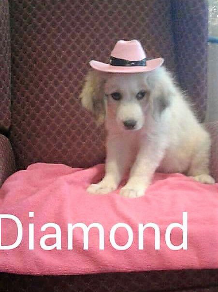 Diamond