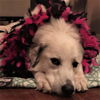 Ida Lou