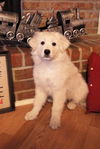 DeeDee