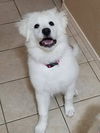 DeeDee