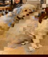 Zumi