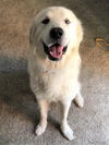 Barclay