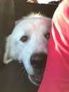 Barclay