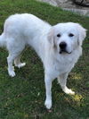 Barclay