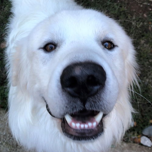 Barclay