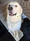 Barclay