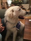 Duke