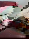 Amy