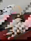 Amy