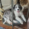 Truffle
