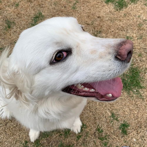 Chloe
