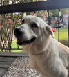 Bailey