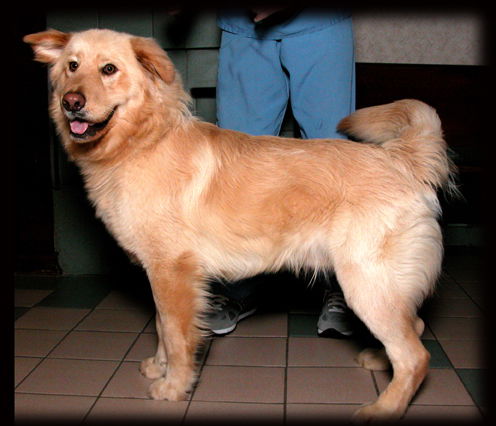 Porter