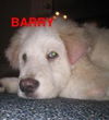 Barry