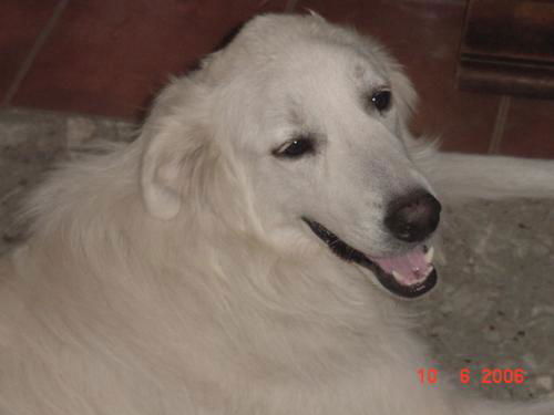 Zeus