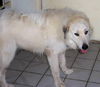 Raphela aka Ella