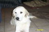 Abby