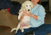 Annie