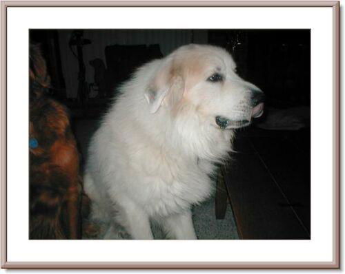 Casper