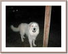 Casper